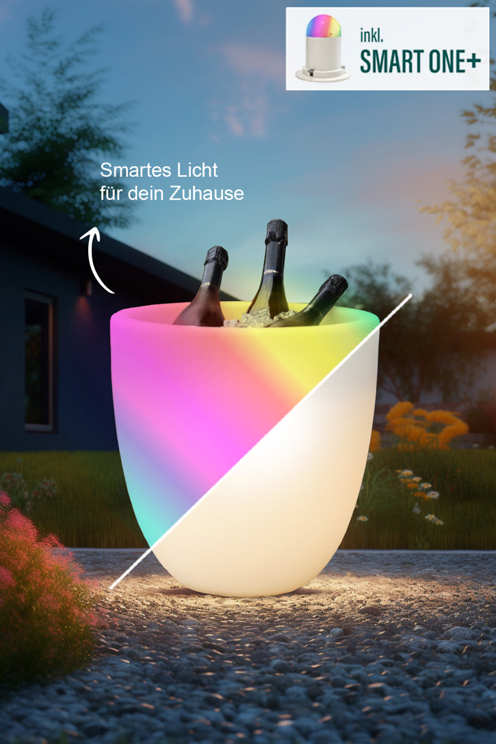 Smart Curvy Cooler+