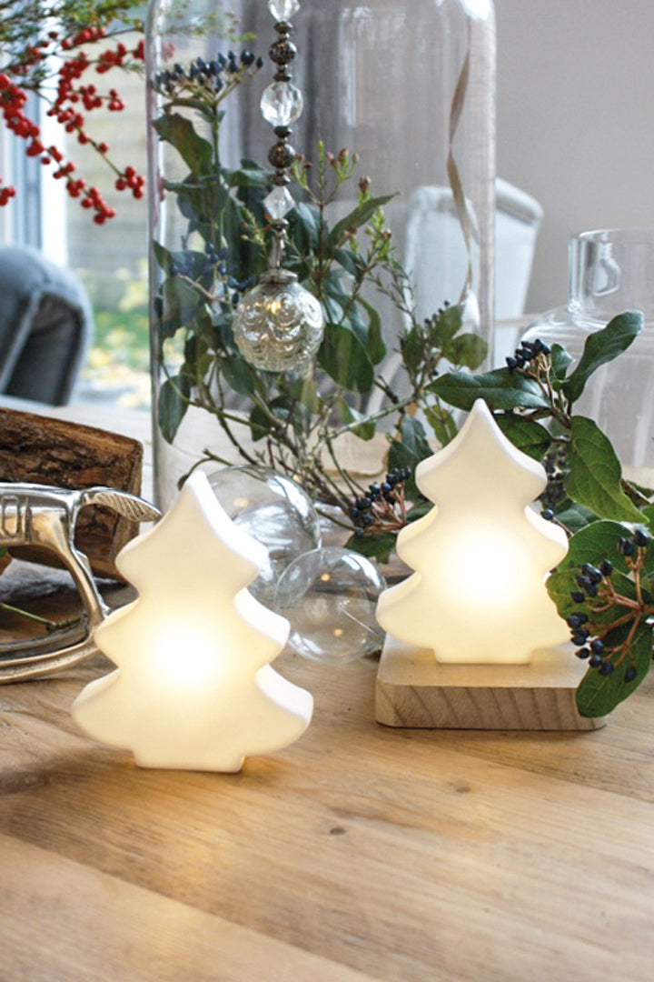 Tischleuchte Shining Tree Micro 2D USB-C