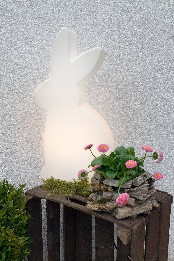 Shining Rabbit Solar