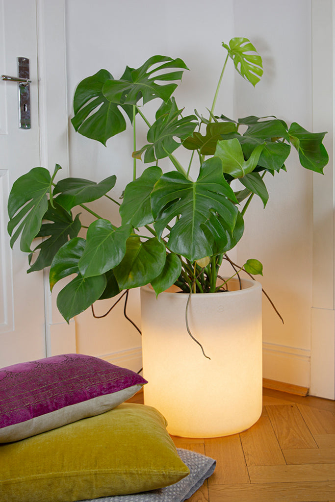 LED Blumentopf Shining Elegant Pot S