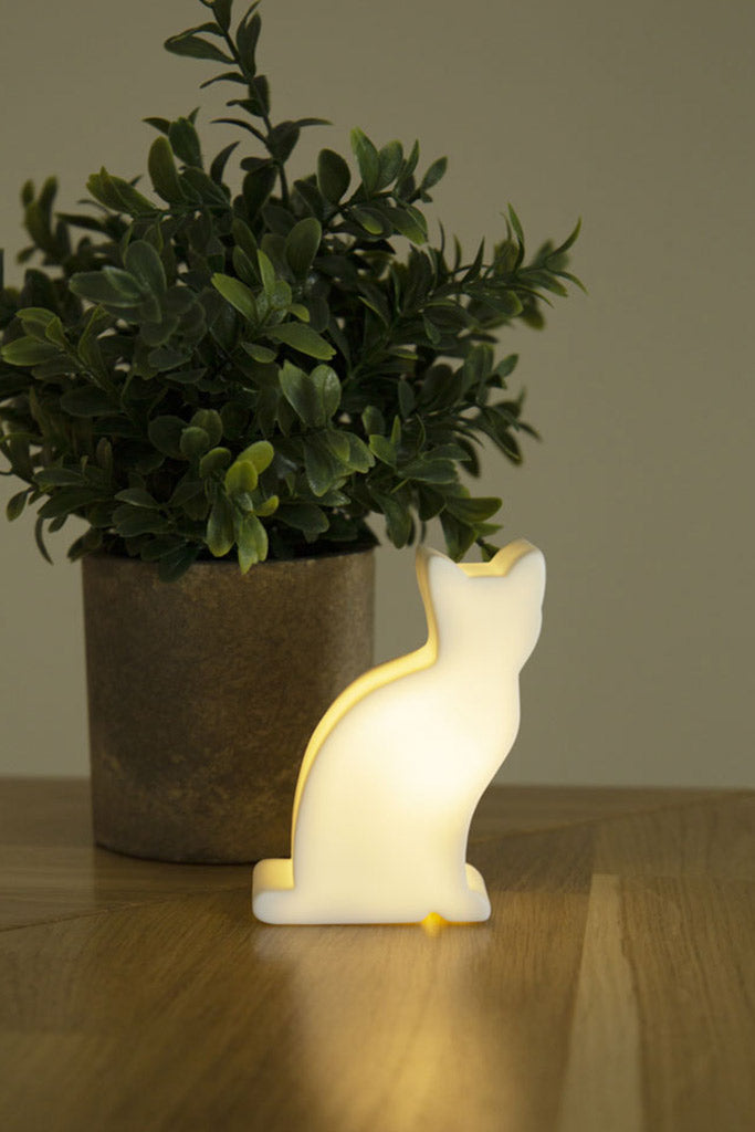 Table lamp Shining Cat Micro USB-C