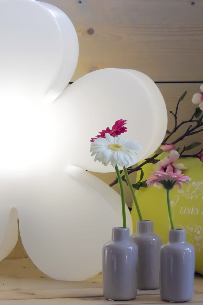 Shining Flower